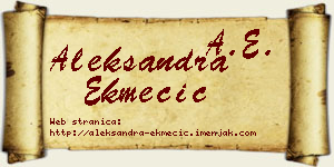 Aleksandra Ekmečić vizit kartica